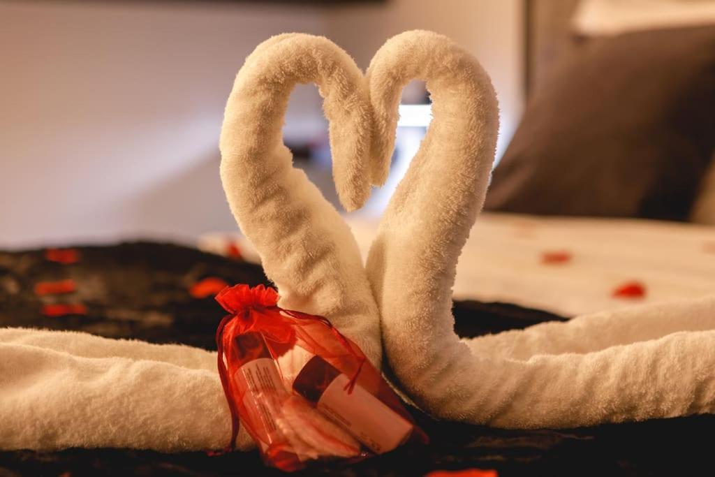 My Love Nest Châtillon-sur-Chalaronne エクステリア 写真